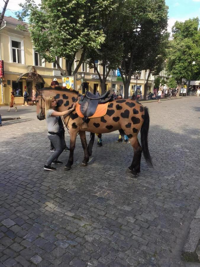 "Ваша Квартира" - У Самого Дерибаса! "Ваша Квартира" Біля Самого Дерибаса! Odessa Eksteriør billede